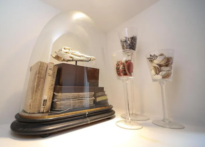 Apartment Pallata 52